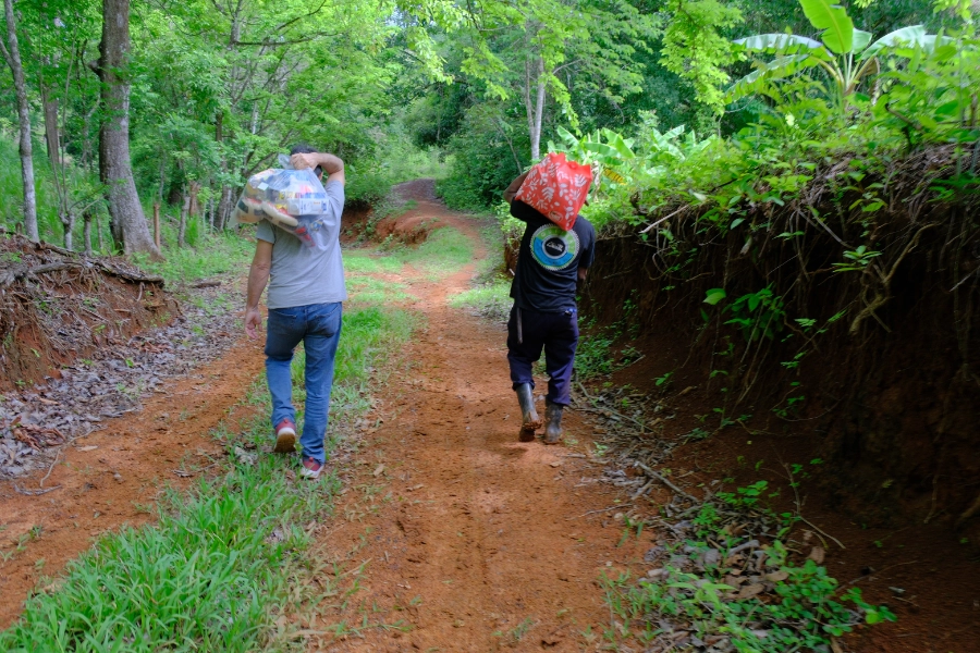 Donation 6 - Image 2